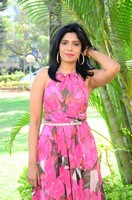 Pragathi Photo Stills